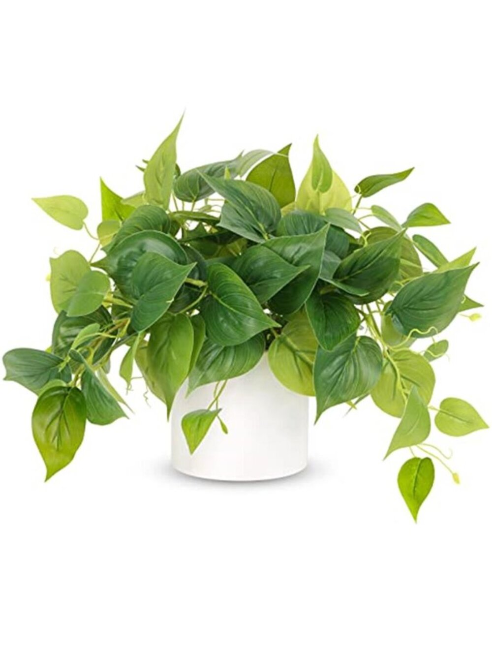 Faux Pothos Plant White Ceramic Pot Small Fake Indoor Shelf Home Office Decor
